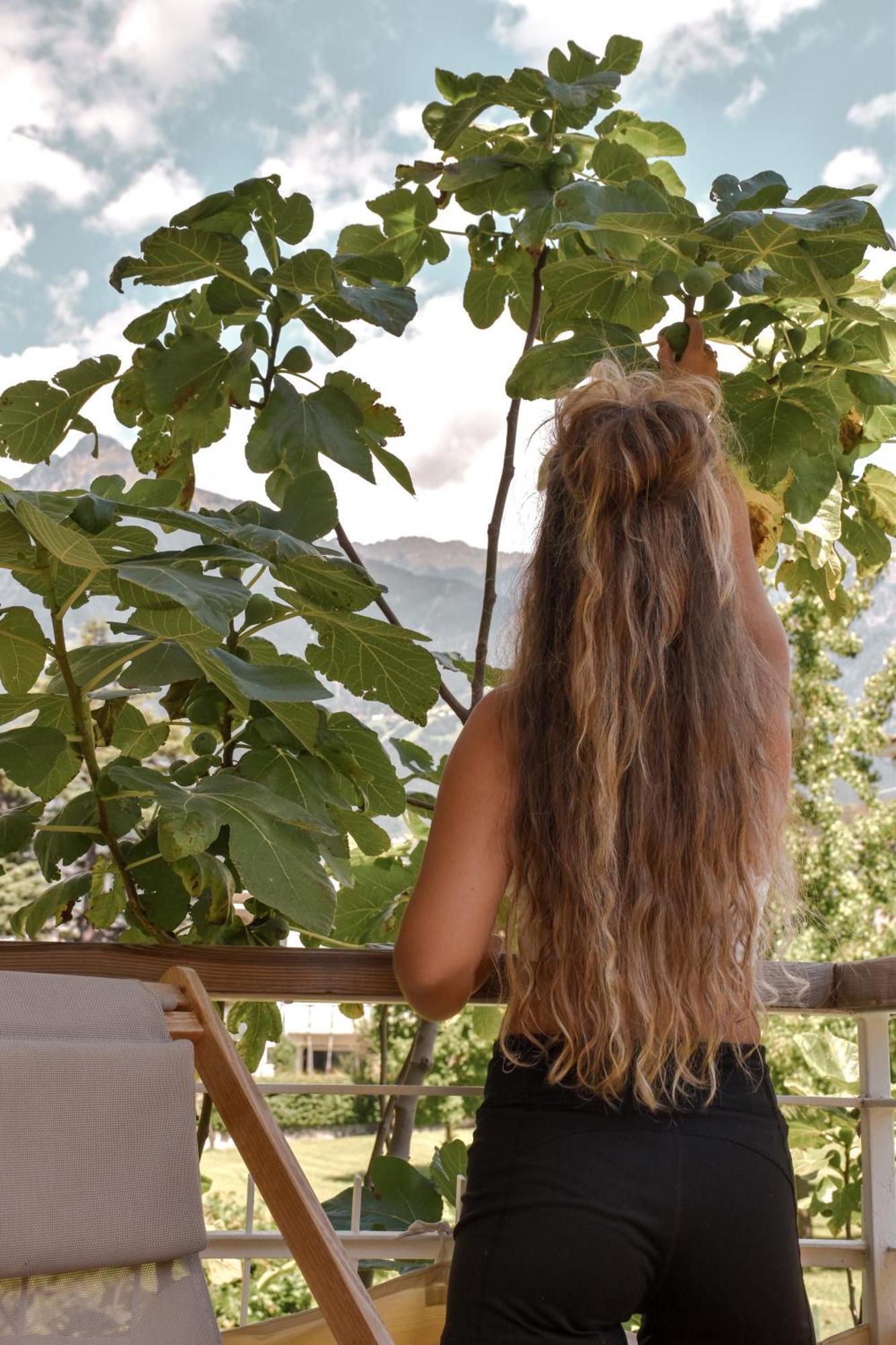Alpimena Natur-Apartments Meran מראה חיצוני תמונה